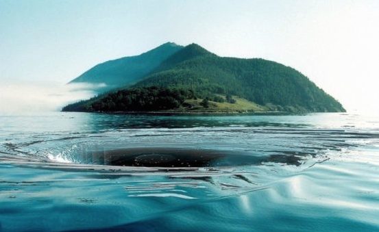 АМФИБИИ: изучающие озеро Байкал