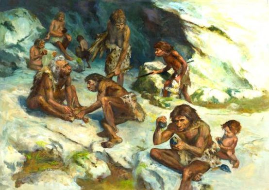 БЕСПЛОДИЕ: возможная причина исчезновения неандертальцев